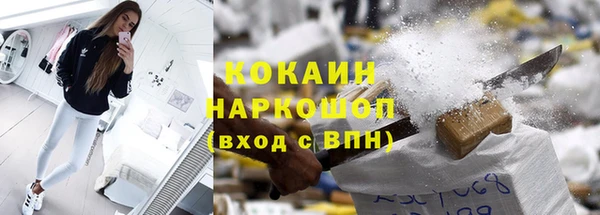 ГАЛЛЮЦИНОГЕННЫЕ ГРИБЫ Корсаков