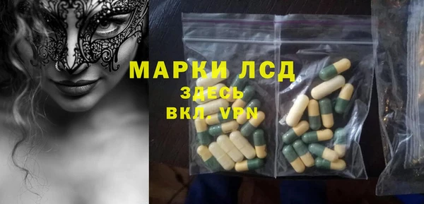 ГАЛЛЮЦИНОГЕННЫЕ ГРИБЫ Корсаков