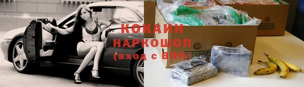 стафф Козельск