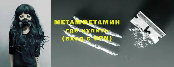 ГАЛЛЮЦИНОГЕННЫЕ ГРИБЫ Корсаков