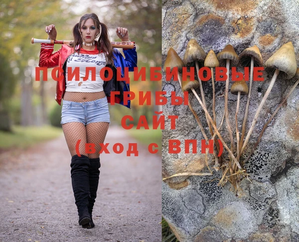 первитин Костерёво