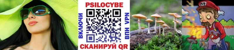 Псилоцибиновые грибы MAGIC MUSHROOMS  где купить   Красный Холм 